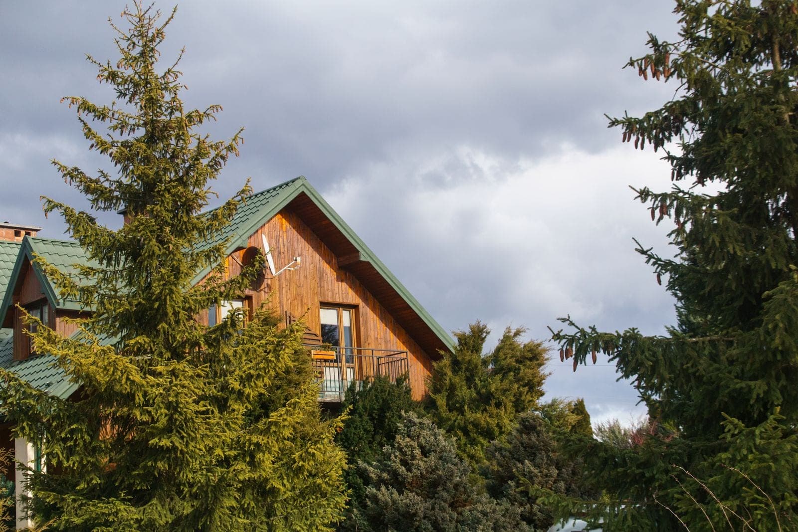 Wood house with a green metal roof among tall evergreen trees
