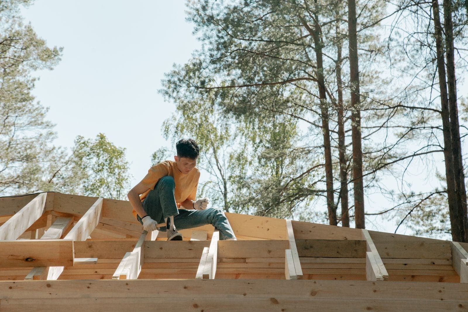 Carpenter working on new roof framing with pine trees behind