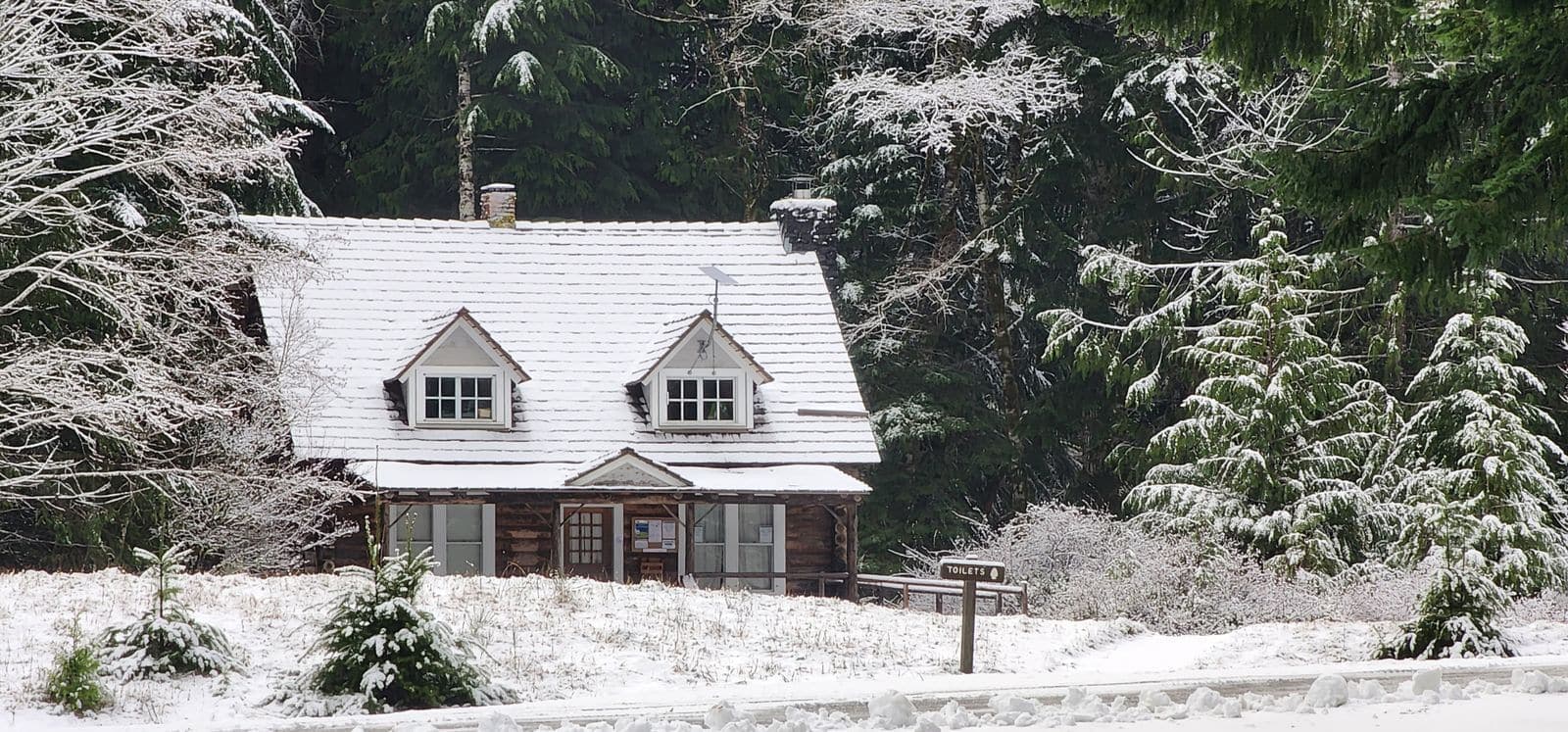 Cabin with a snow-covered roof in a snowy evergreen forest